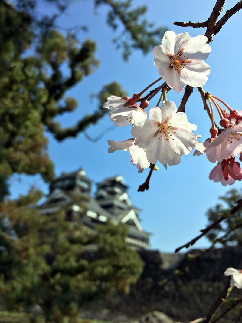 小学校入学